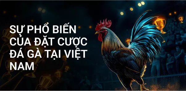 Sự phổ biến của đặt cược đá gà tại Việt Nam